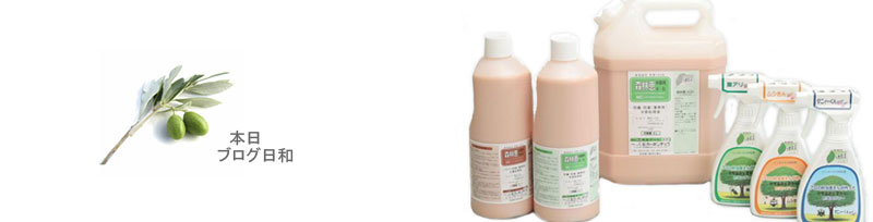 本日ブログ日和